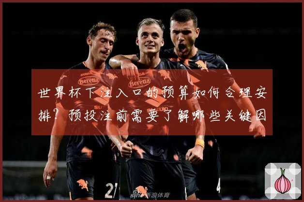 世界杯下注入口的预算如何合理安排？预投注前需要了解哪些关键因素