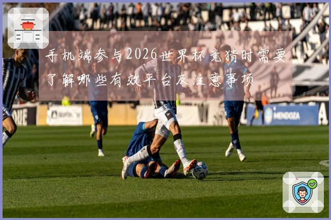 手机端参与2026世界杯竞猜时需要了解哪些有效平台及注意事项