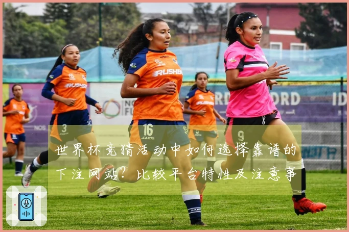 世界杯竞猜活动中如何选择靠谱的下注网站？比较平台特性及注意事项