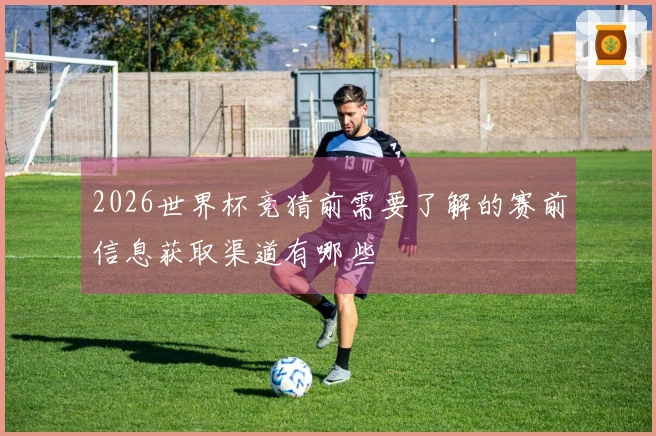 2026世界杯竞猜前需要了解的赛前信息获取渠道有哪些