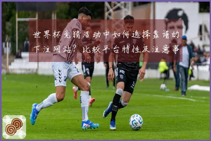 世界杯竞猜活动中如何选择靠谱的下注网站？比较平台特性及注意事项
