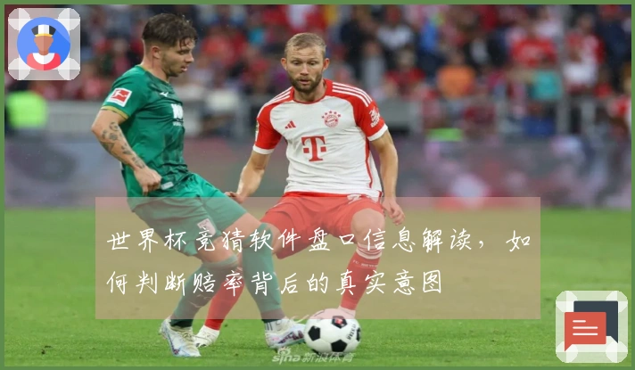 世界杯竞猜软件盘口信息解读，如何判断赔率背后的真实意图