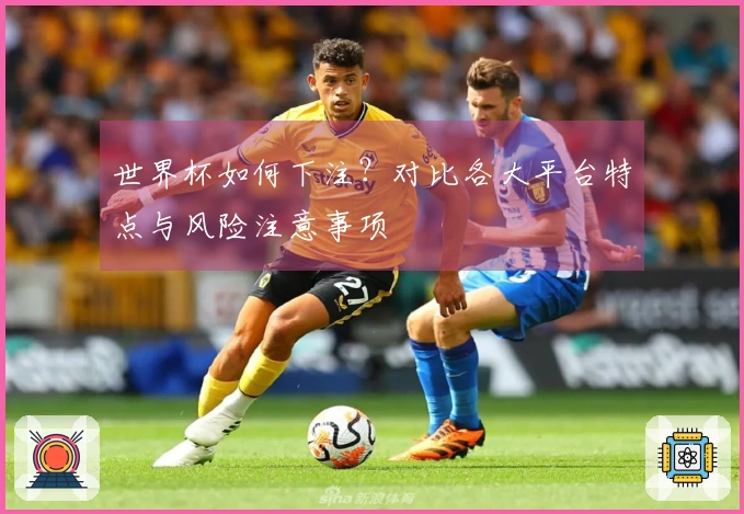 世界杯如何下注？对比各大平台特点与风险注意事项