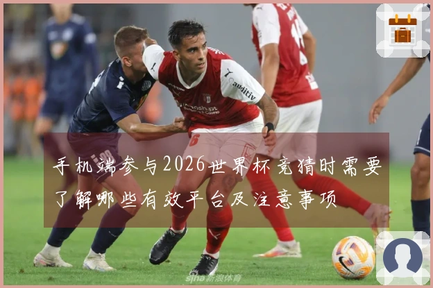 手机端参与2026世界杯竞猜时需要了解哪些有效平台及注意事项