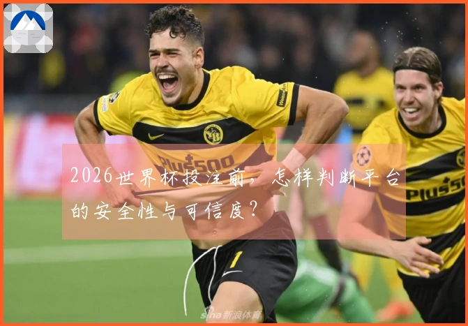 2026世界杯投注前，怎样判断平台的安全性与可信度？